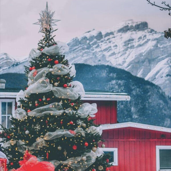 Christmas in Banff & Barnwood